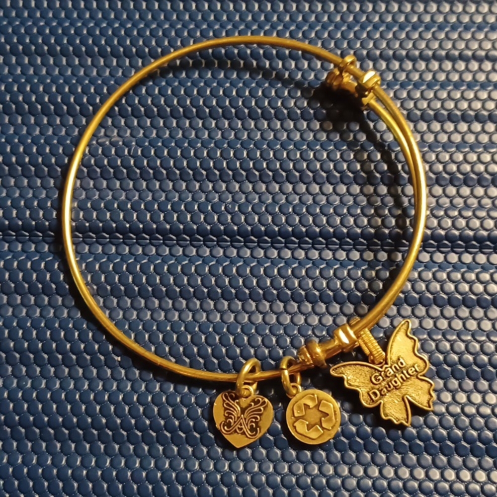 Alex and Ani Angelica Butterfly Granddaughter bracelet